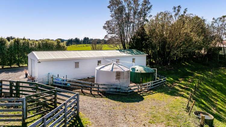 389 Wortley Road Inglewood_25