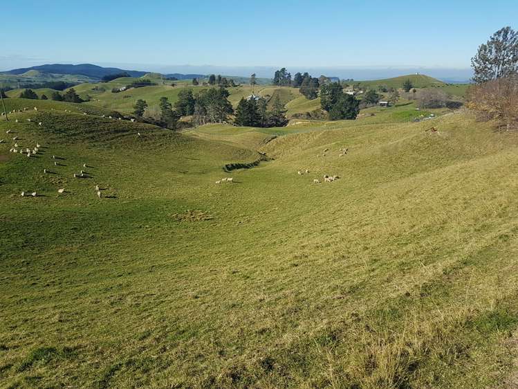 78 Flag Range Road Sherenden_11