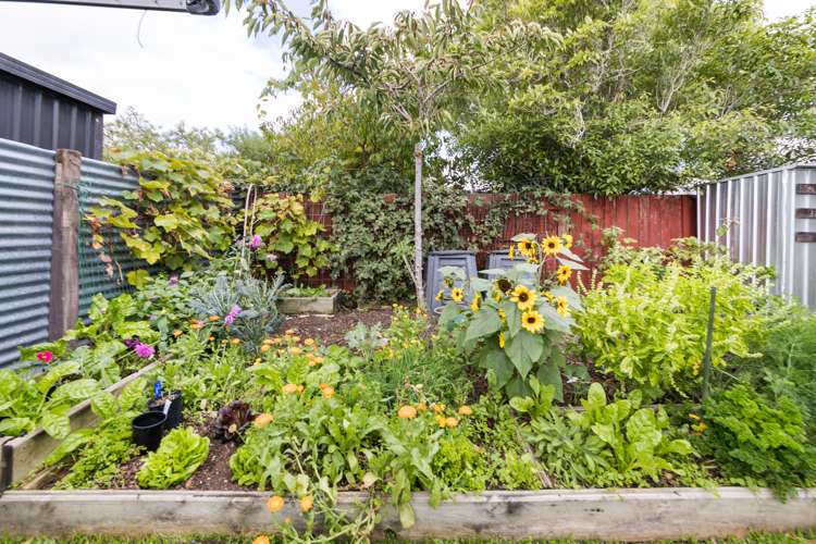 3a Lytton Street Feilding_20