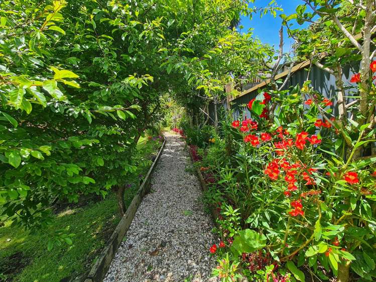 1225 Rings Road Coromandel_18