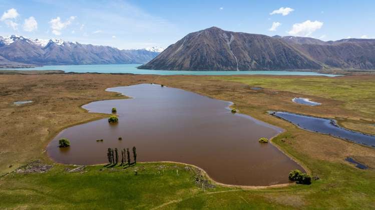 Lagoon Block, Ohau Downs Station_0