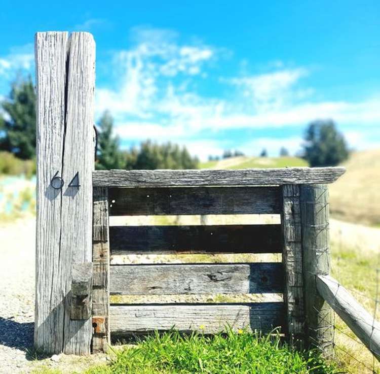 64 Westmere Drive Tasman_11