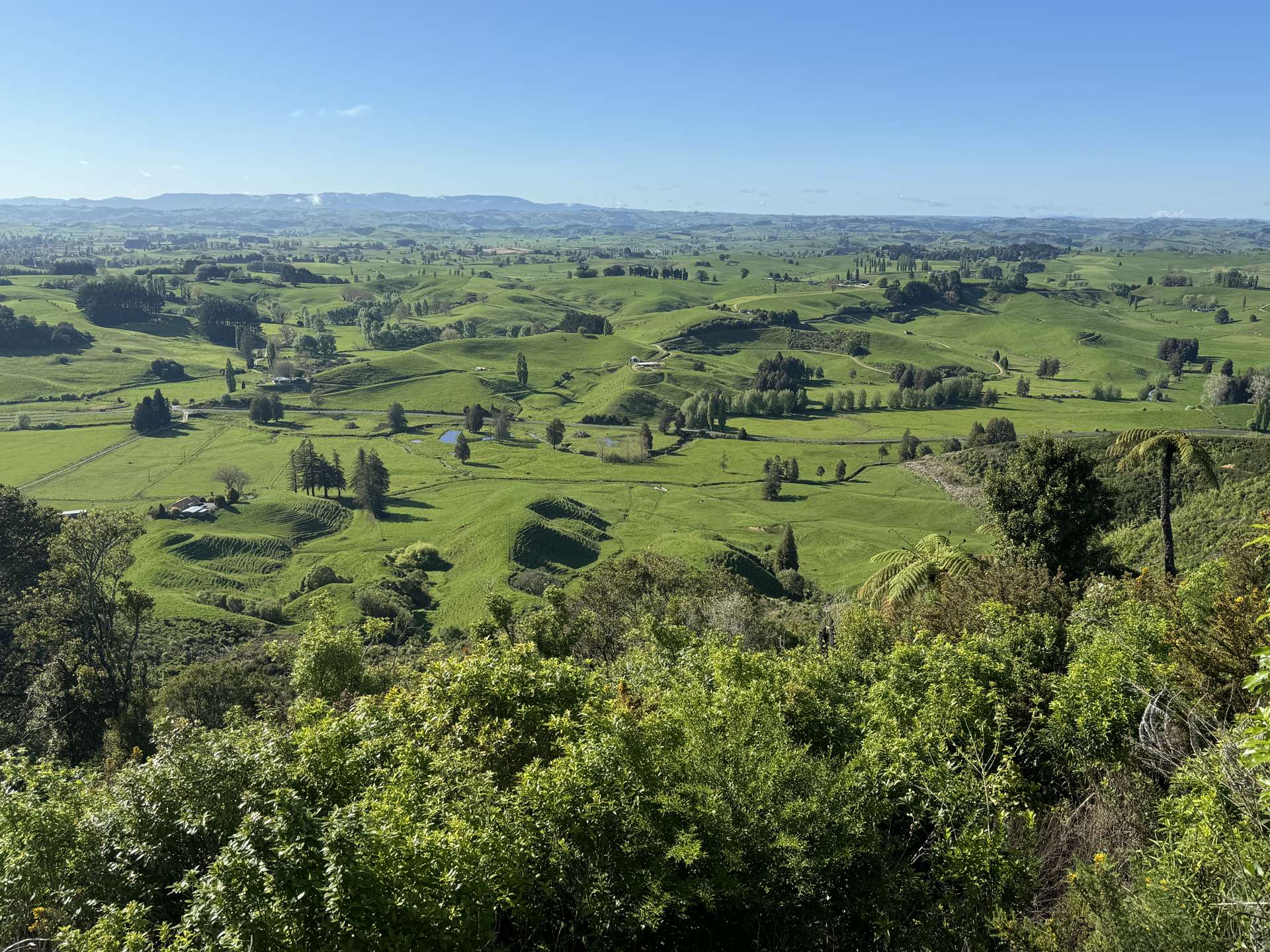 276B Waitomo Valley Road. Otorohanga_0