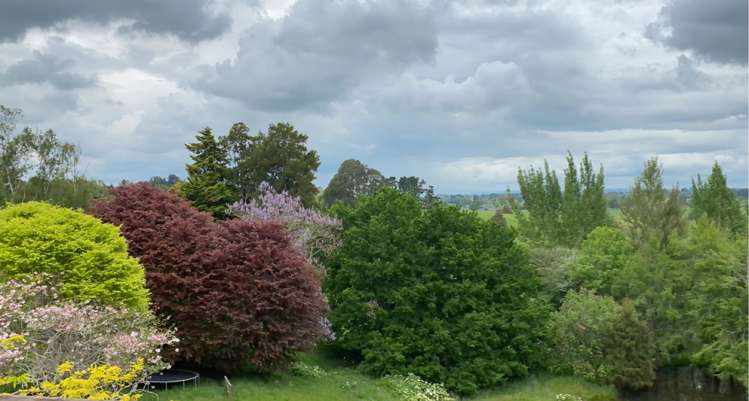 1610 Cambridge Road Te Awamutu_22