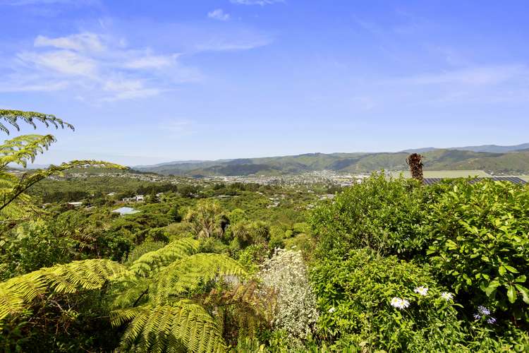 250 Park Road Belmont_18