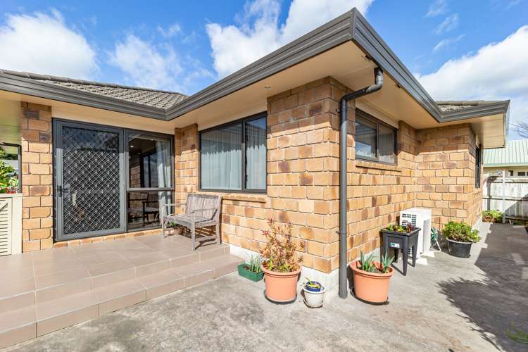 63 Winchester Street Levin_11