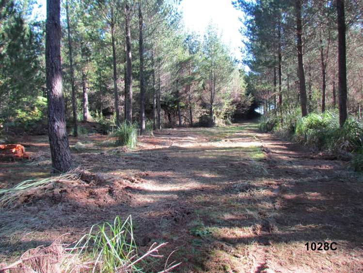 1028 A,B,C McIvor Road Rotoma_24