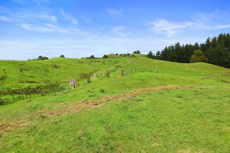 205 Tunanui Road Owhango_10