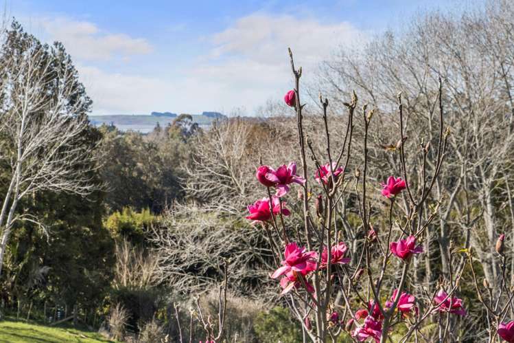 107 Thompsons Track Aongatete_16