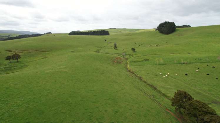 3902 State Highway 12 Dargaville Surrounds_1