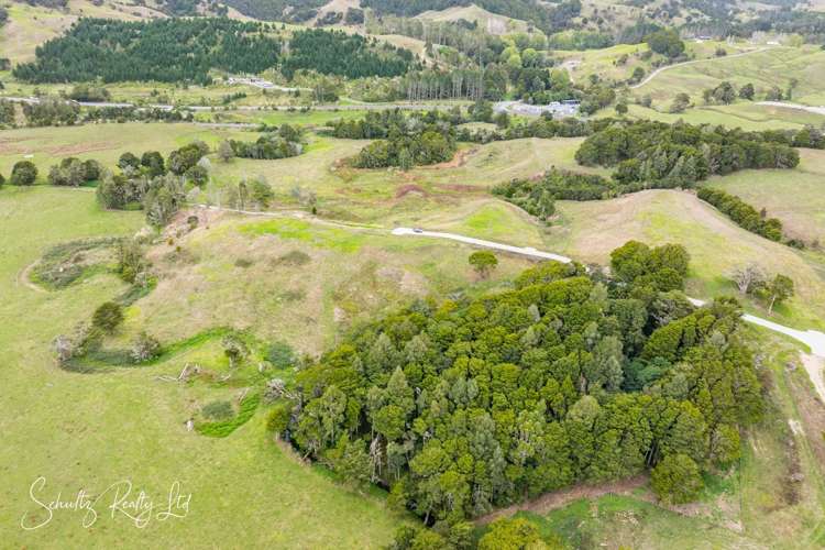 Whakapirau Road Maungaturoto_43