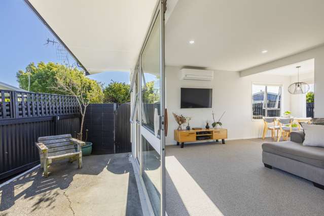 61 Lanark Crescent Tamatea_3