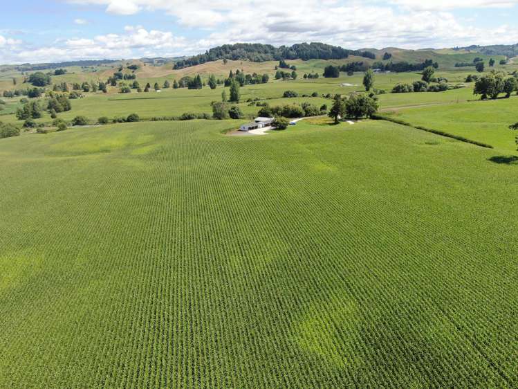 37 Napinapi Road Te Mapara_18