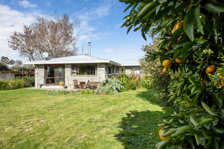 33c Dillons Point Road Islington_10