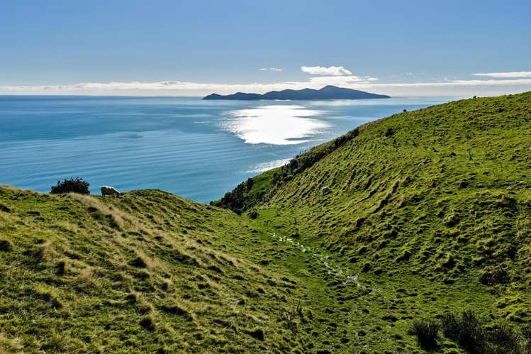 Lot 2,3 and 5/1275 Paekakariki Hill Road Paekakariki Hill_16