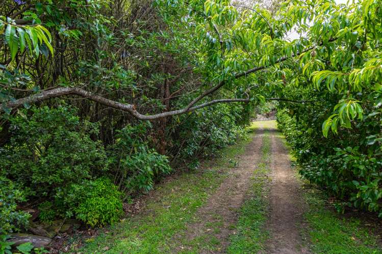 257 Queen Charlotte Drive Havelock_23