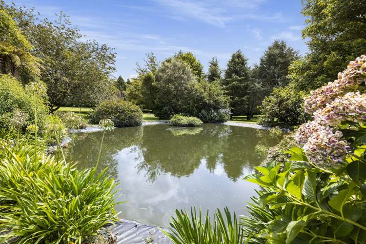 947 Omanawa Road Lower Kaimai_17