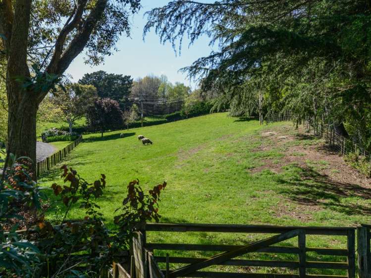 32 Endsleigh Road Havelock North_7