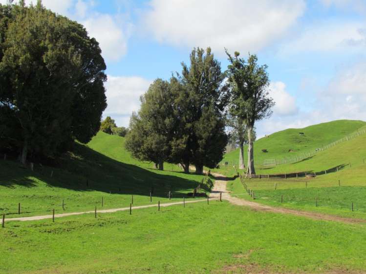 1840 Manawahe Road Manawahe_3