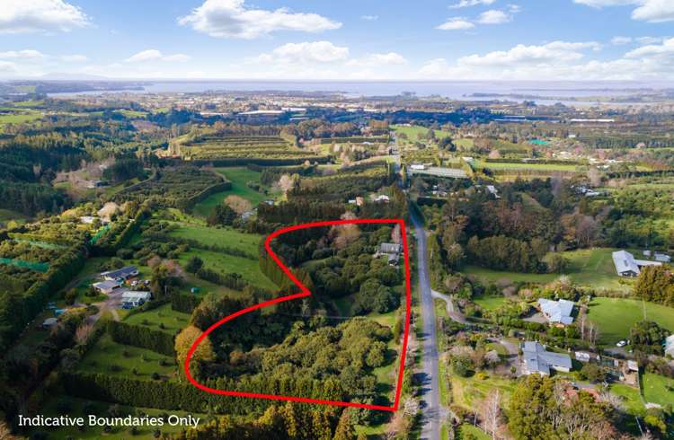 244 Wharawhara Road Hauraki Surrounds_23