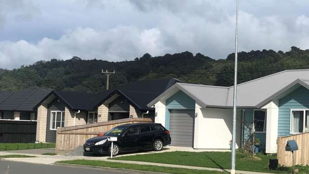 2 Te Ara O Toroa Wainuiomata_1