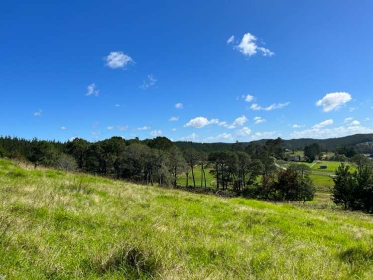 120a Escott Road Dairy Flat_6