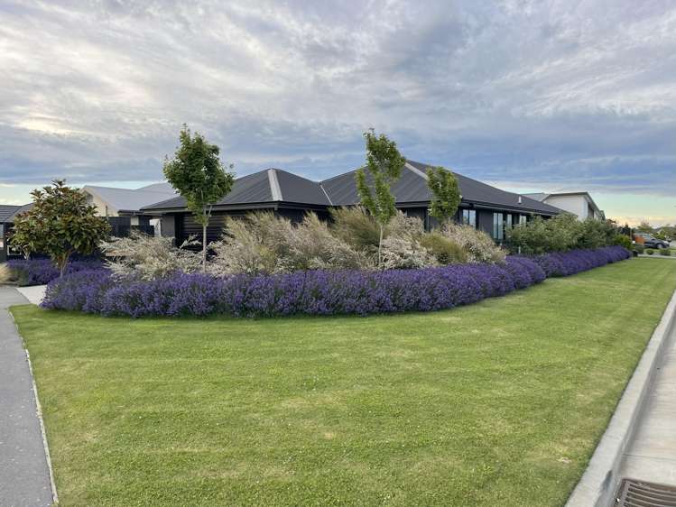 18 Merino Street Marshland_26