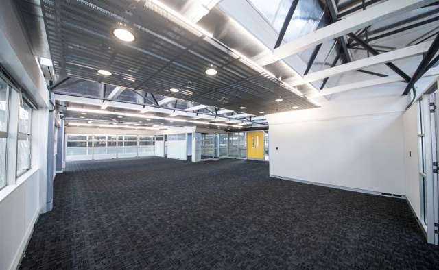 L2 Suite 2/72 Dominion Road Mount Eden_2