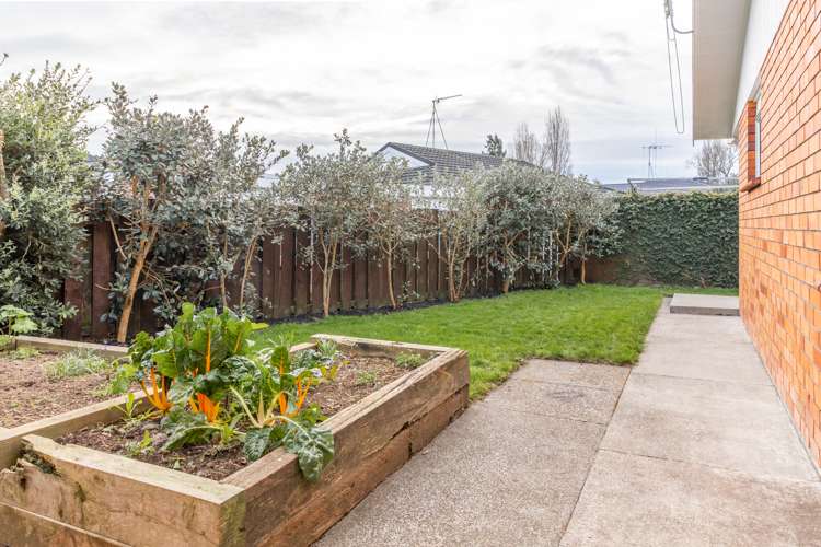 2/203 Galloway Street Hamilton East_15