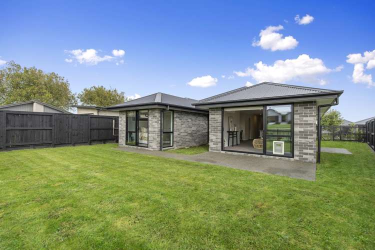 6 Morrin Street Morrinsville_11