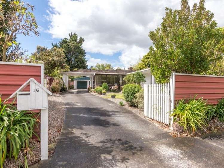 16 Lane Place Awapuni_20