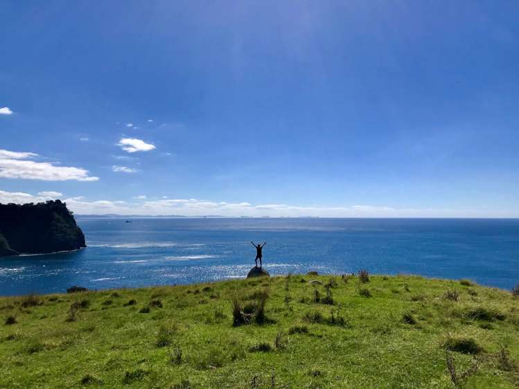 190 Pacific Ocean, Slipper Island (Whakahua) Thames_17