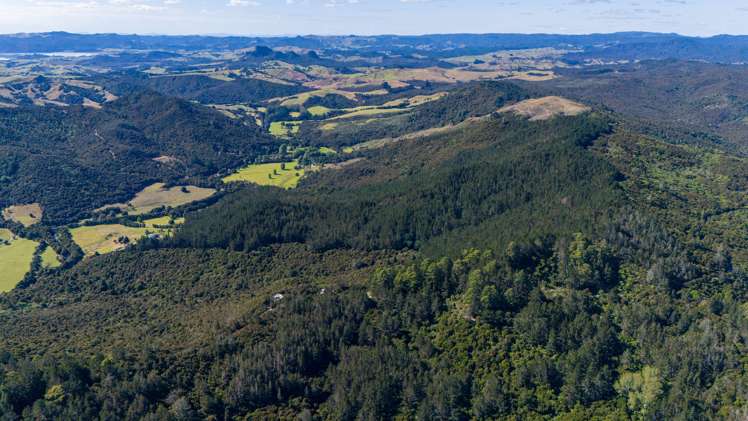 Lot 2 Goshen Valley Road Mangonui_21