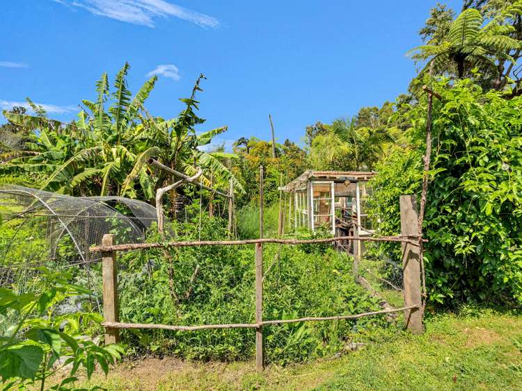 Ohiwa Loop Road Waiotahi_26