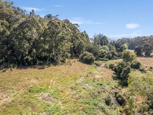 2705 Waikouaiti-Waitati Road Waikouaiti_4