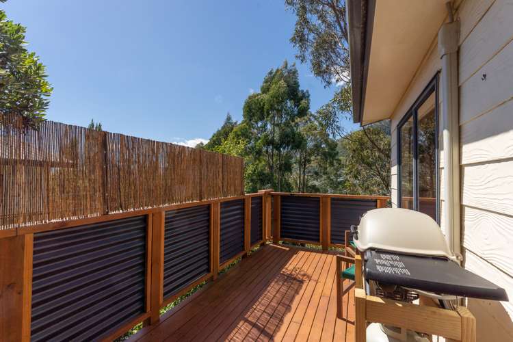 49 Thompson Terrace Toi Toi_11