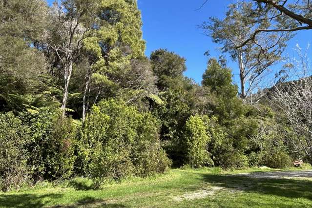 219 Parapara Valley Road Collingwood_2