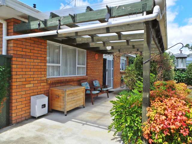 12a Guildford Street Levin_3