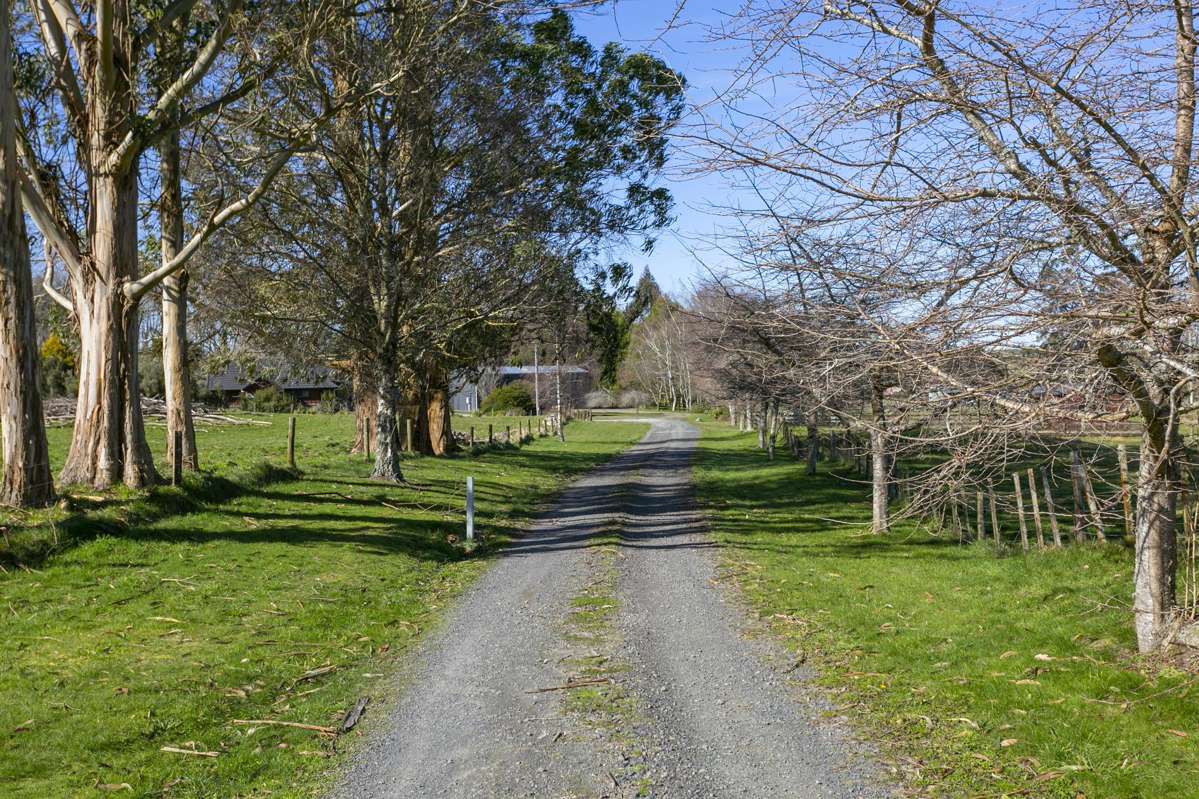 254 Oruanui Road_0