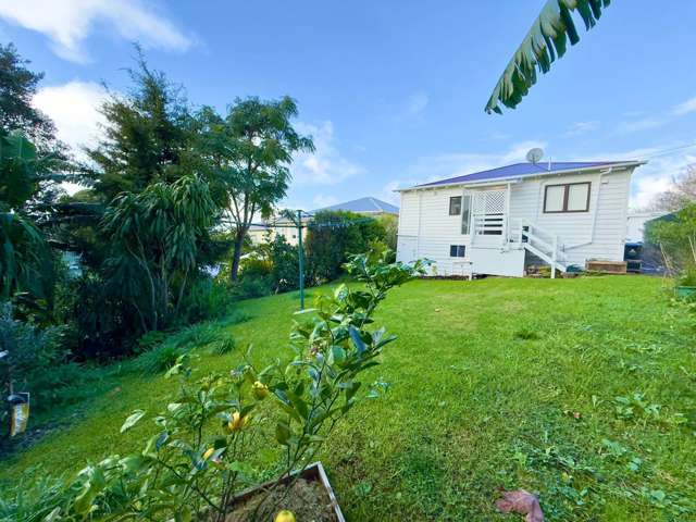 14 Firth Road Grey Lynn_1