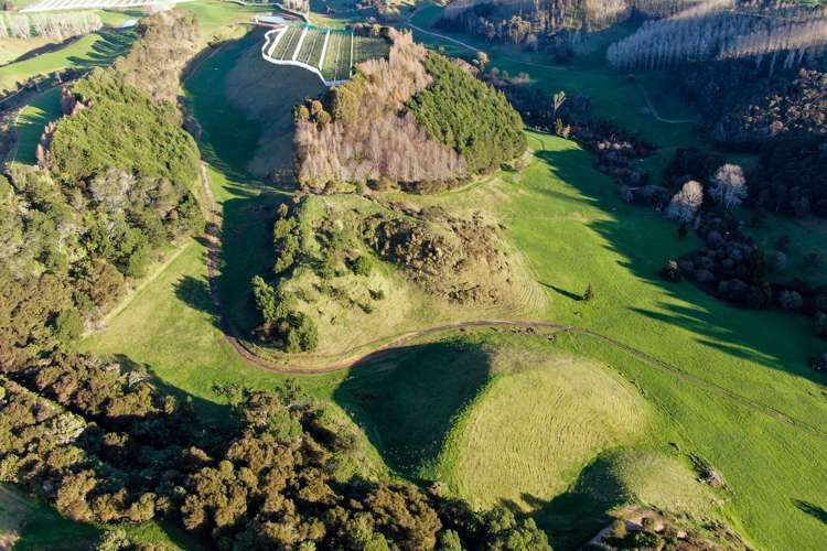 Maniatutu Road Pongakawa_33