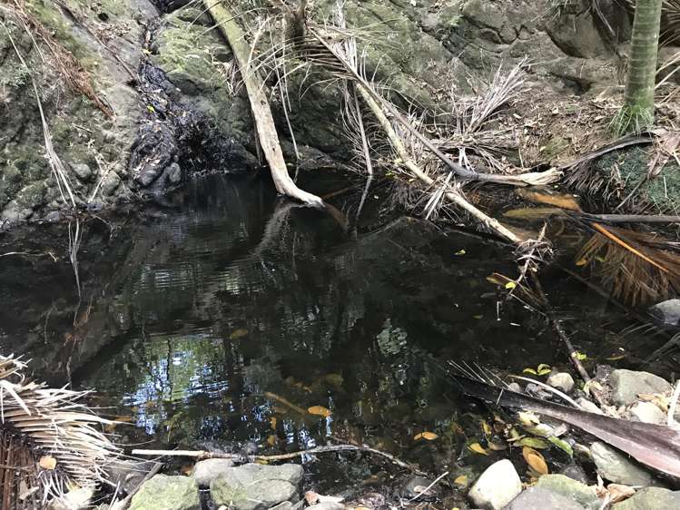 Lot 73/NW71 S71 Aotea Parish Station Rock Road Great Barrier Island_6