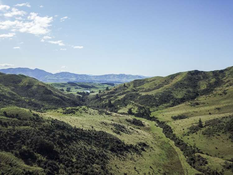 496 Haldons Road Seddon_10