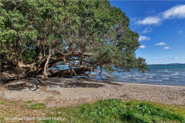 48 Scott Road Tamaterau_20