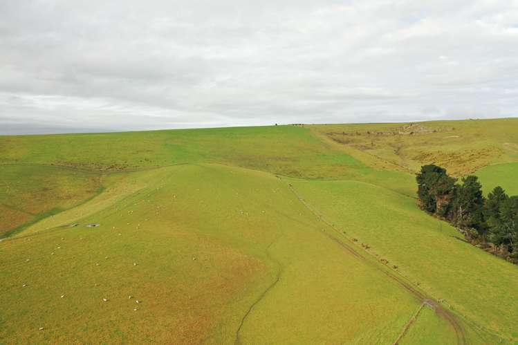 319 Monument Road Pleasant Point_13