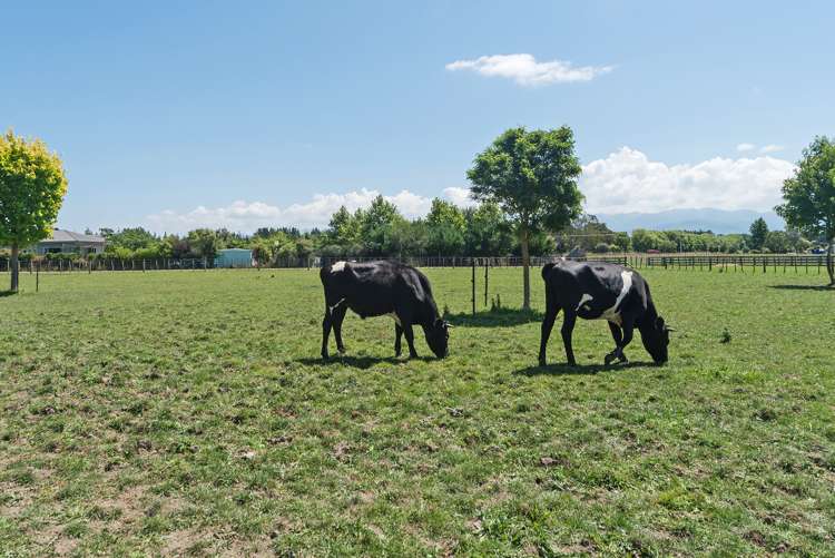 17 Southey Road Opaki_4