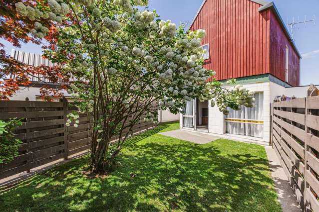 163A Guppy Road Taradale_2