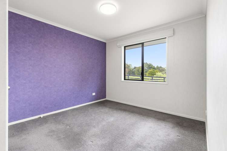 54 Avenue Road South Morrinsville_12