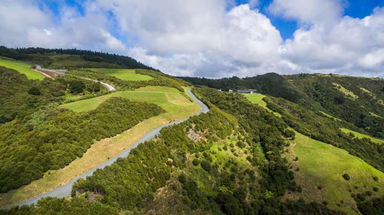 Onekainga Rise Whananaki_31