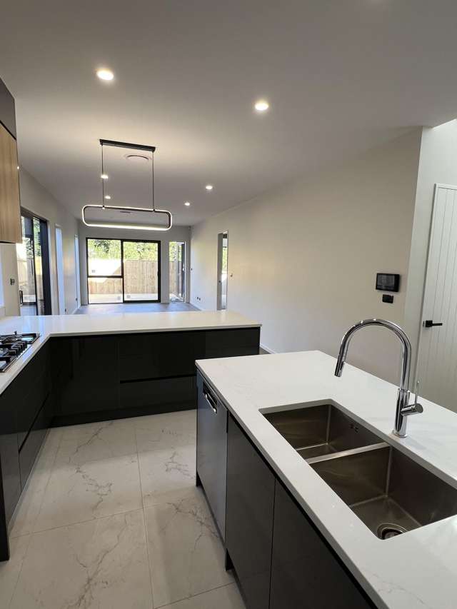 1 Ripa Street Flat Bush_3